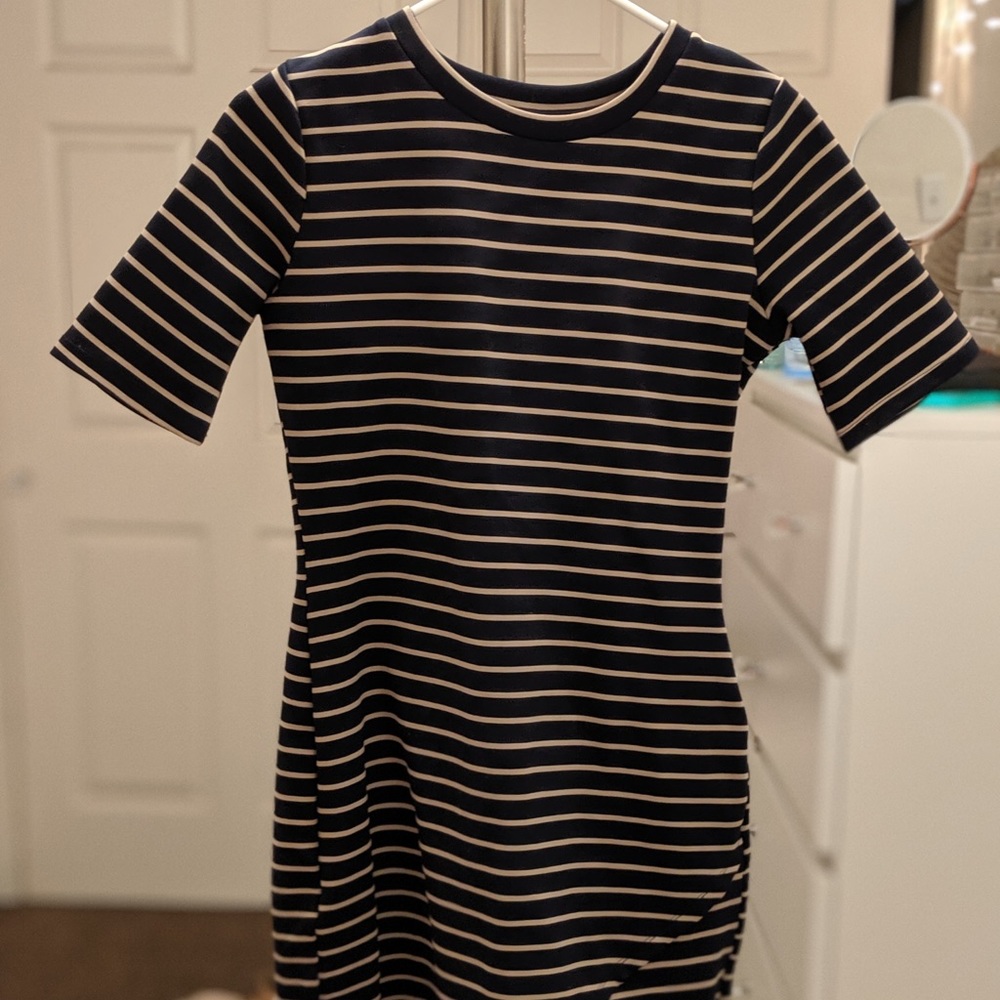Iris Striped Fitted Dress